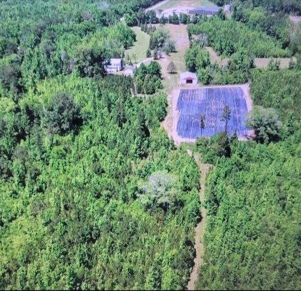 Screenshot 20230303 090054 Gallery