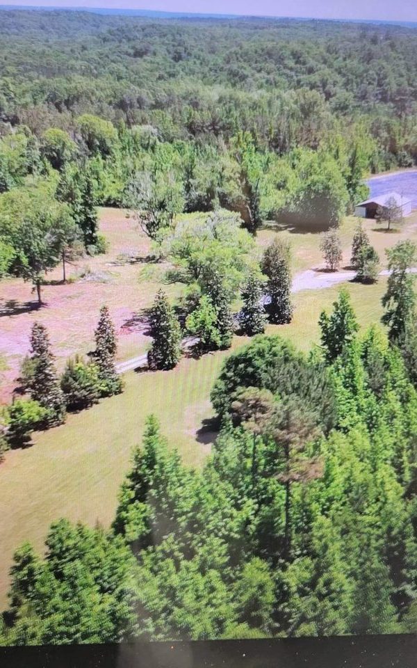 Received 1233151900920213