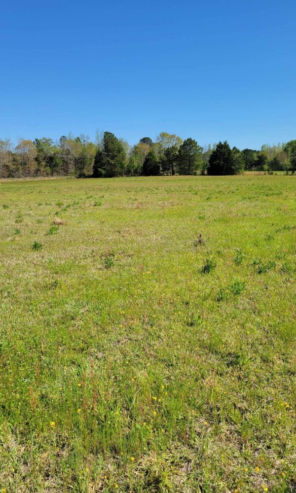 Received 732377804897345