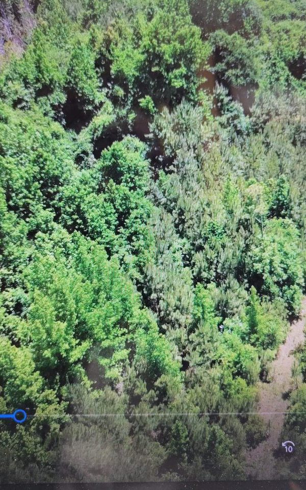 Received 732807308246104