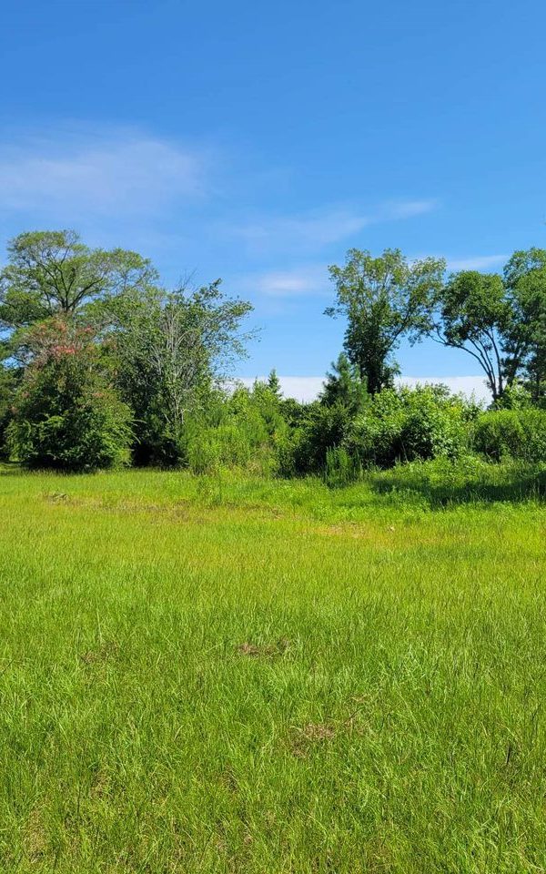 Received 925559832205284